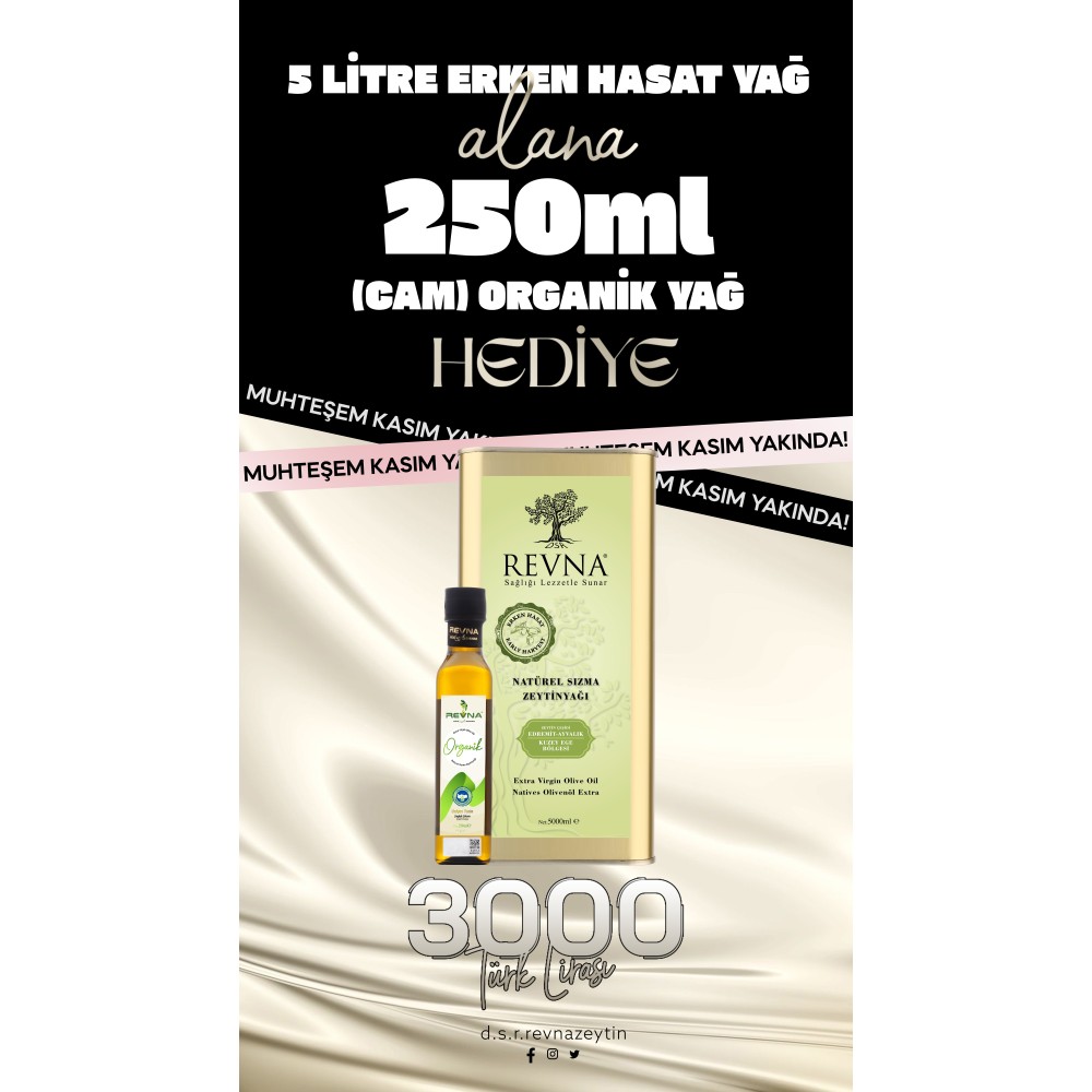 KASIM-ARALIK KAMPANYASI